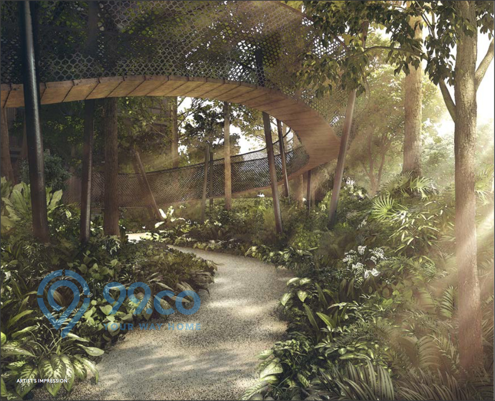martin modern trail