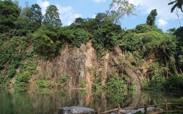 With Bukit Batok Nature Reserve nearby, Le Quest residents can spend their time there exercising or enjoying nature.